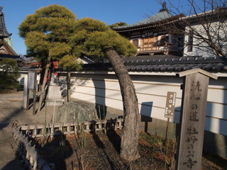 P1100240.jpg