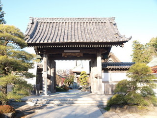 P1100242.jpg