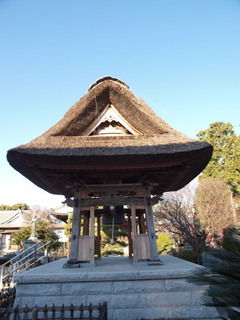P1100248.jpg
