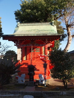P1100249.jpg