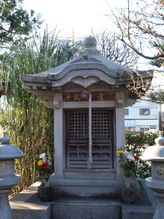 P1100250.jpg
