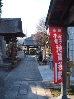P1100258.jpg