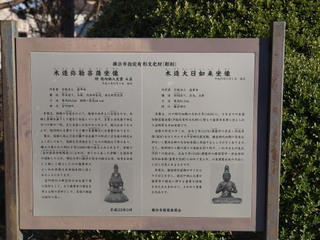 P1100263.jpg