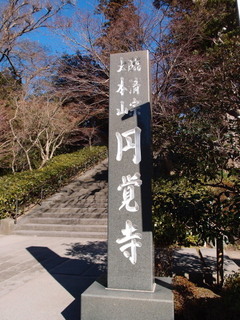 P1130541.jpg