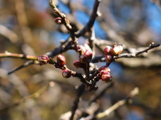 P1130555.jpg
