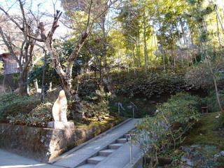 P1130563.jpg