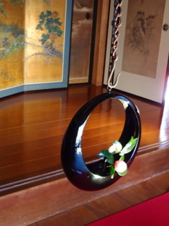 P1130584.jpg