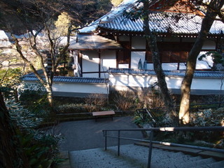 P1130616.jpg