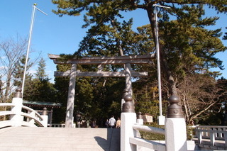 P1187393.jpg