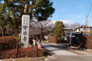 P1187404.jpg