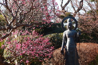 P1187410.jpg