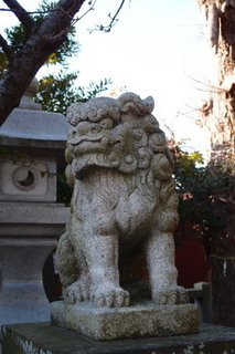 P1187425.jpg