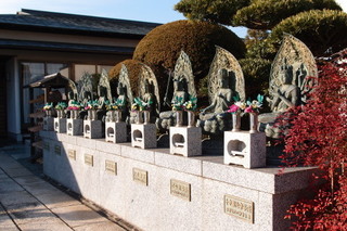 P1187430.jpg