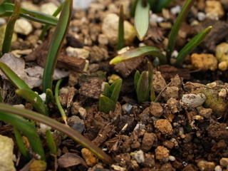 P1207893.jpg