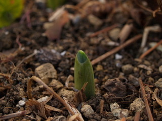 P1207897.jpg