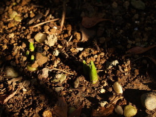 P1207911.jpg