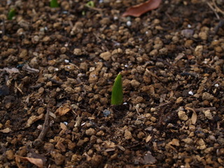 P1207913.jpg