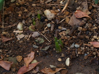P1207914.jpg
