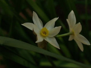 P1207920.jpg