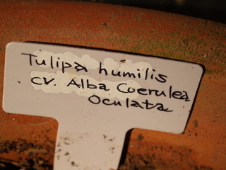 P1207930.jpg