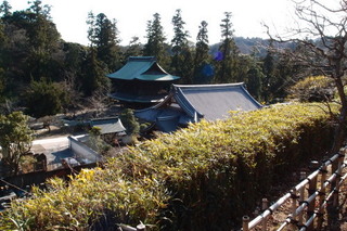 P1223345.jpg