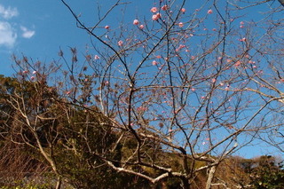 P1223360.jpg