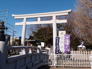 P1231294.jpg