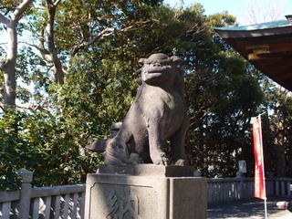 P1231302.jpg