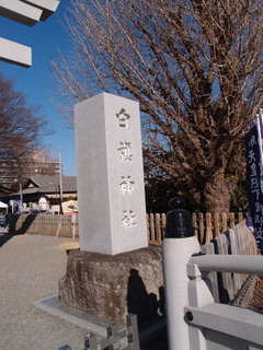 P1231320.jpg