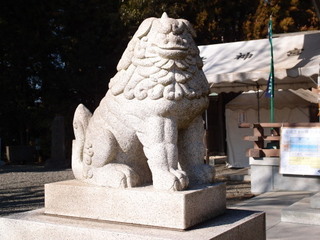 P1231326.jpg