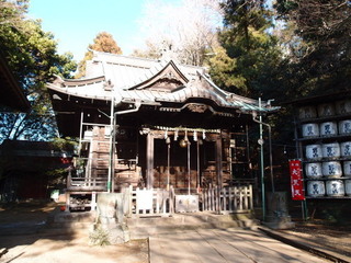 P1231351.jpg