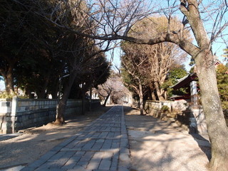 P1231357.jpg