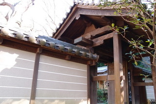 P1273387.jpg