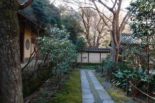 P1273415.jpg