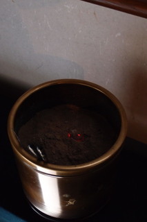 P1273417.jpg