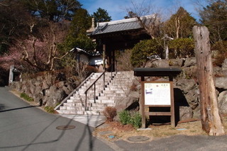 P1273434.jpg