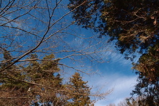 P1273442.jpg