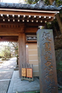P1283470.jpg