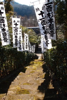 P1283499.jpg