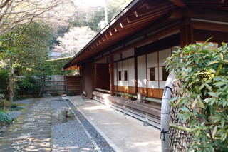 P1283557.jpg