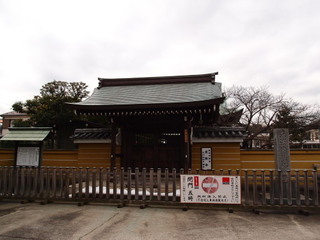 P1290642.jpg