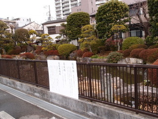 P1290649.jpg