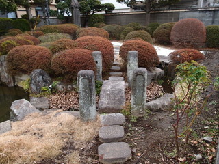 P1290655.jpg