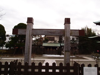 P1290662.jpg
