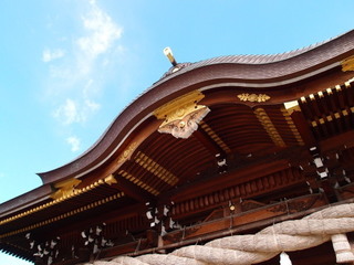 P1311449.jpg