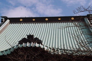 P1313589.jpg
