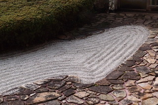 P1313624.jpg