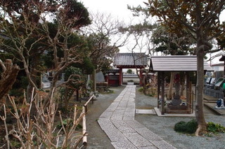 P1313639.jpg