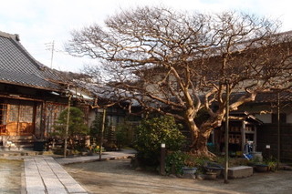 P1313652.jpg
