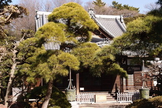 P2027477.jpg